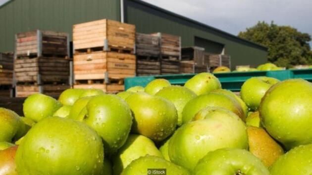 Холодильная камера под заказ