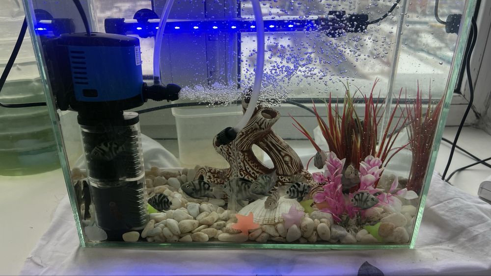 Аквариум Новый Для падорок