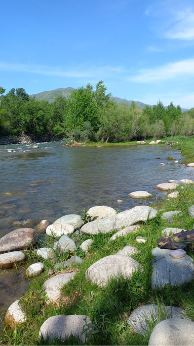 ДАЧА ДАЧА на лето