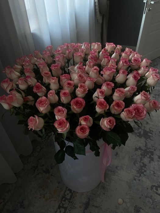 Цветы, гүлдер, .
