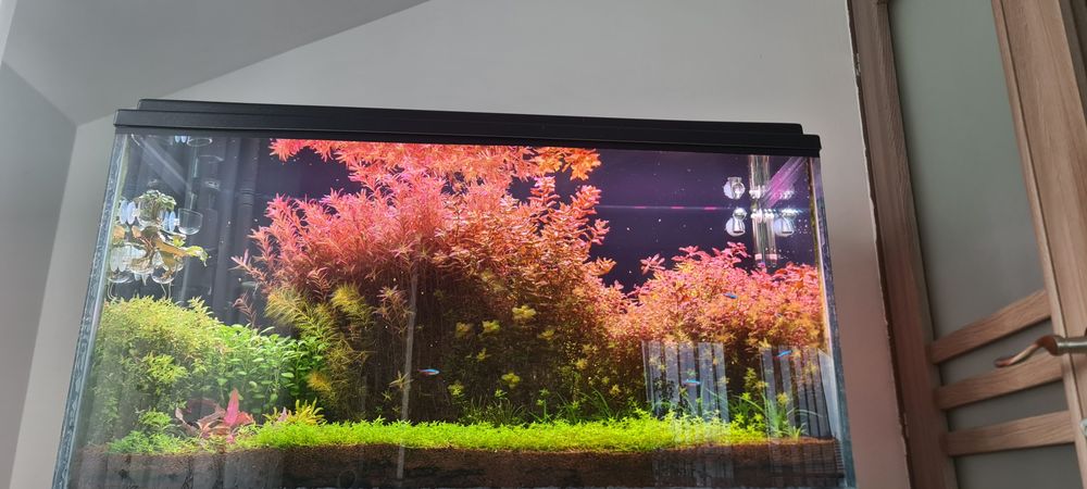 Filtru acvariu jbl crystalprofi e1502