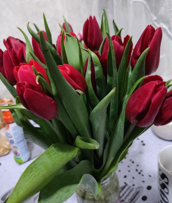 Тюльпаны продам!