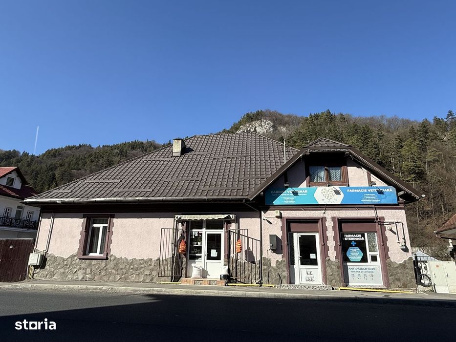 Casa in Bran - central, pretabila locuință, clinică, birouri (Moieciu)