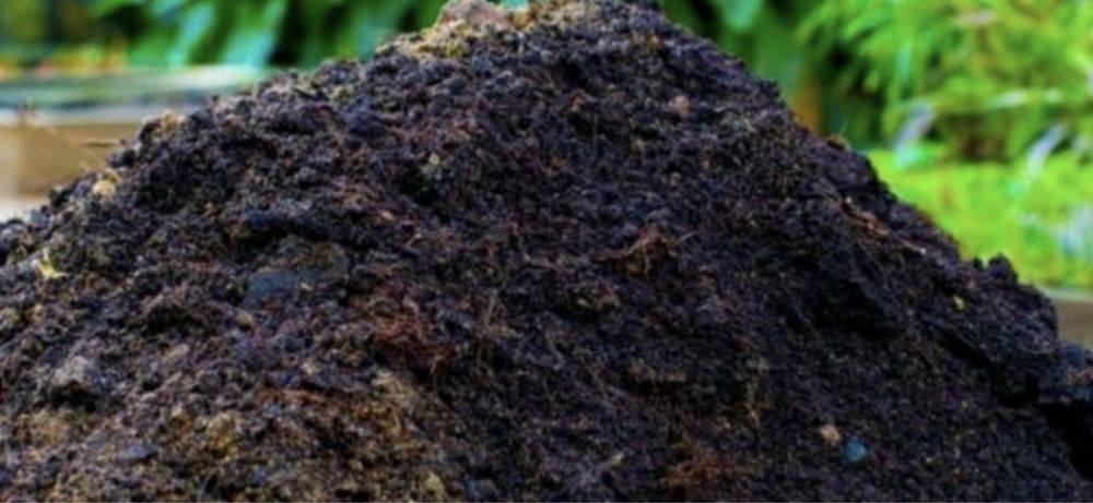 Навоз [перегной]