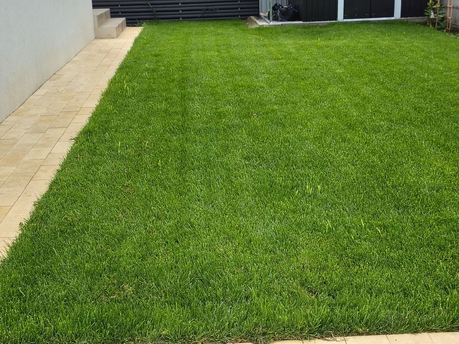 Montaj gazon 25 lei/m