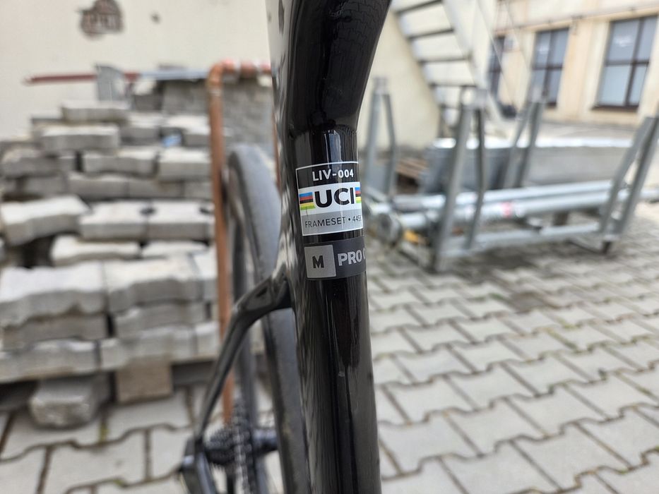 Cursiera Giant  Liv