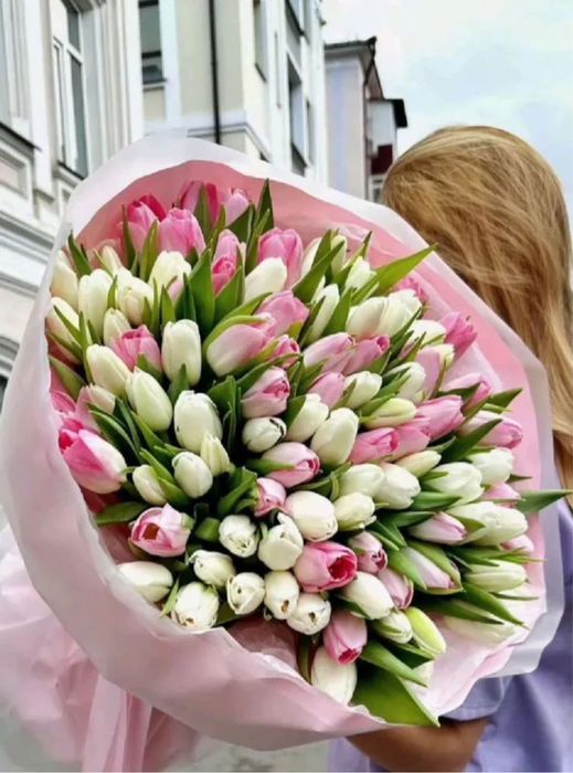 Тюльпаны Астана чубары