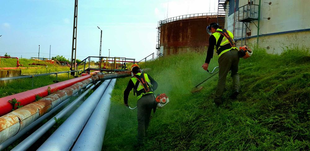 Cosire - curatare iarba / vegetatie parcuri fotovoltaice - industriale