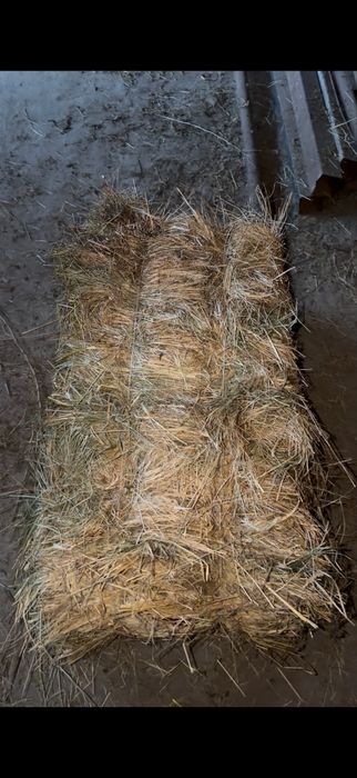 Сено для откорма , в отличном Состояний
