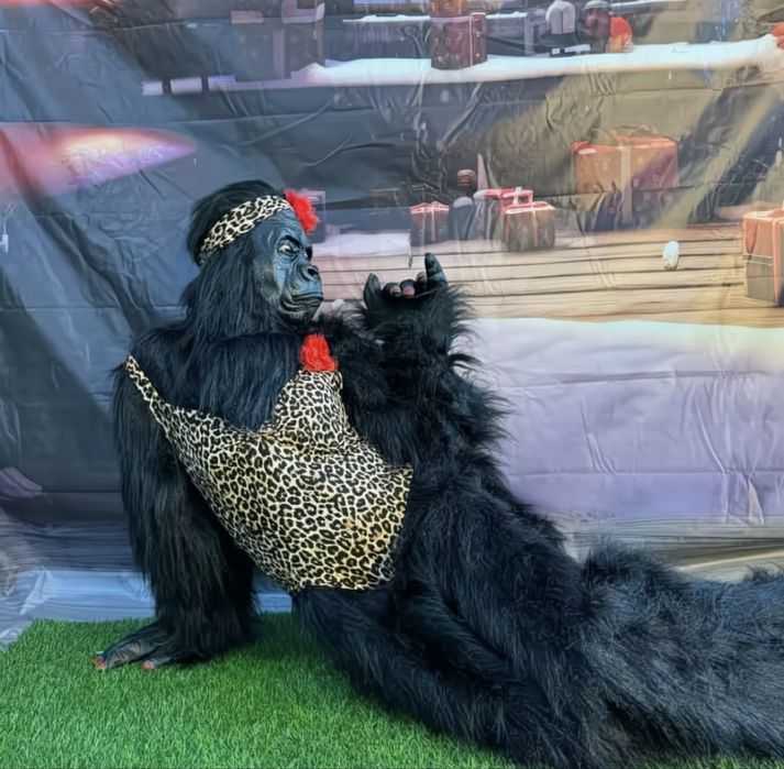 Аниматор Стрип Горилла