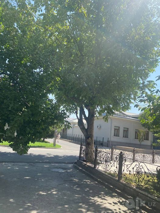 Дарахт кесиш,  утин