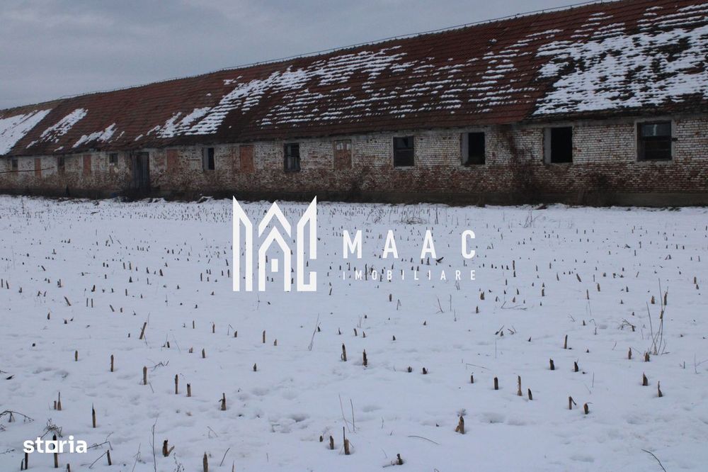 Oportunitate de Aur la Intrarea în Vurpar