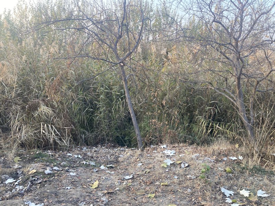 Продоётзя земля не жилая