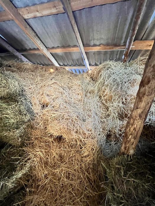 Шөп пресс сатылады