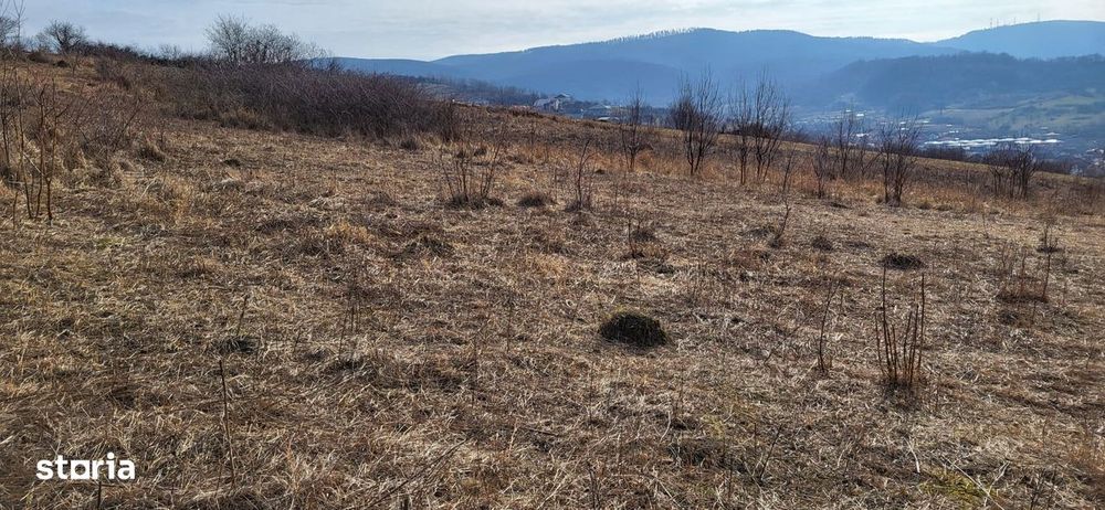Teren Intravilan 43Ari zona Ortelec-Zalau intre case 4800eur/ar