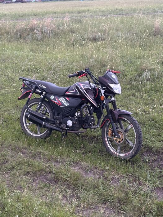 Альфа рс 12 чамп