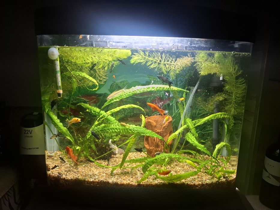 Продавам два  Аквариума