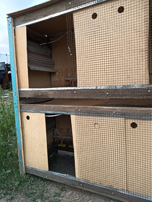 Брудер для перепелят с первых дней