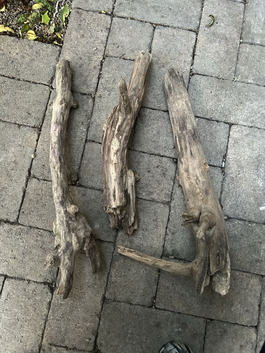 Driftwood pentru acvariu