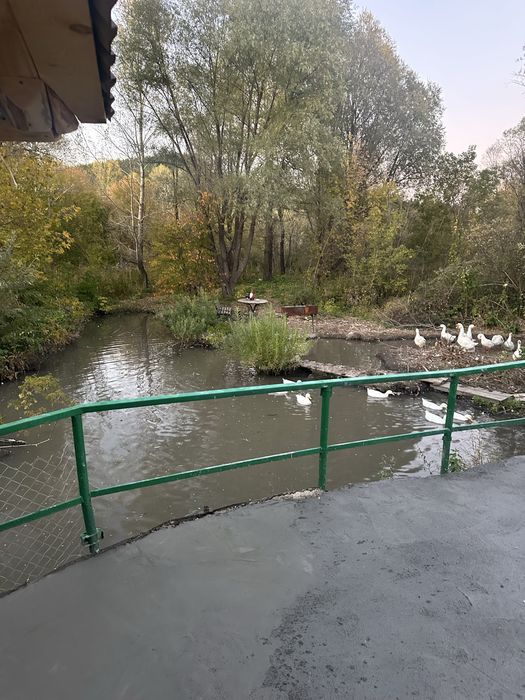 Банька в Бутаково