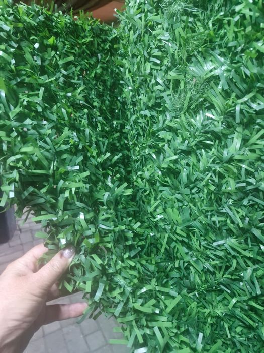 Продам калифорнийская изгородь забор