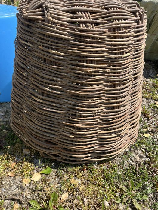 Стара Кошница два броя