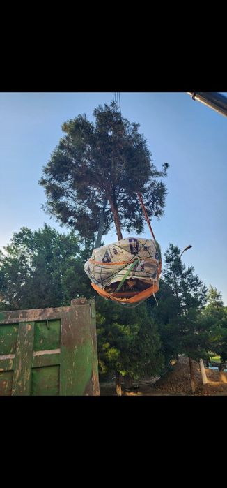 Пересадка деревьев Дарахт кучириш Ландшафт хизматлари