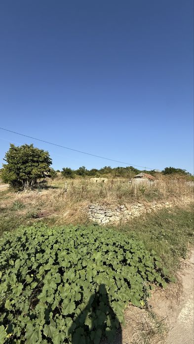 Teren 2000mp + casă veche Cotu Văii aproape de litoral Albesti/Mangalia/Vama Veche/Limanu/Arsa/Negru Voda/Plaja