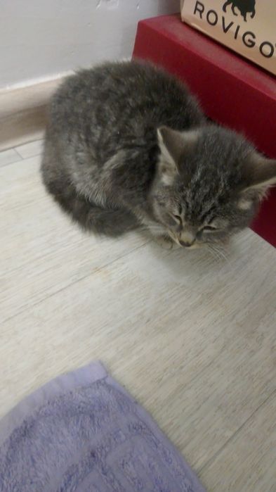 Ишим добрый ручки