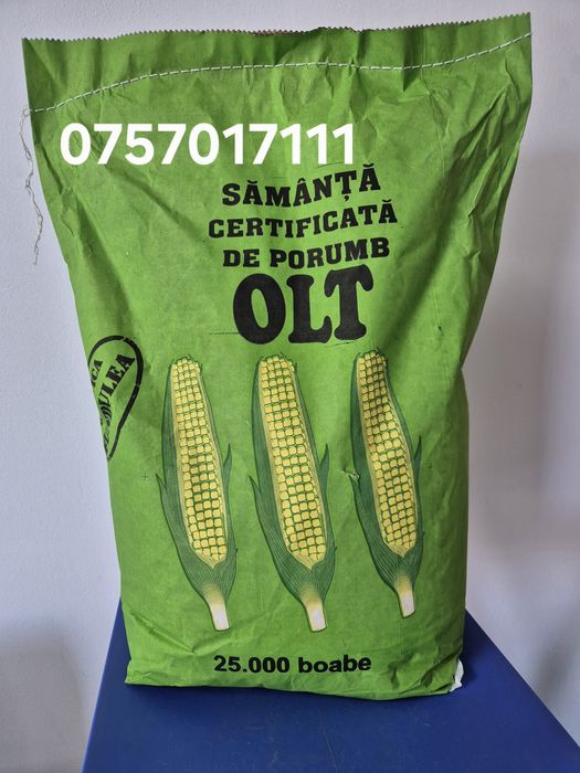 Samanta porumb Fundulea/Olt/ZP/NS