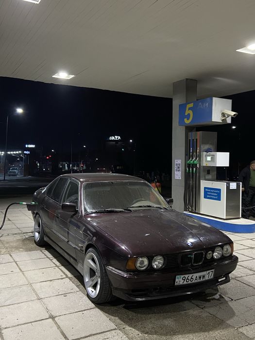 Арбуз р18 разгашыроки