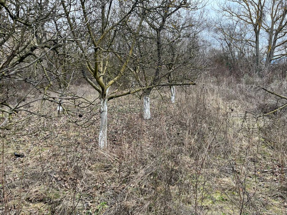 Продава прекрасна къща в село Долно Сахране