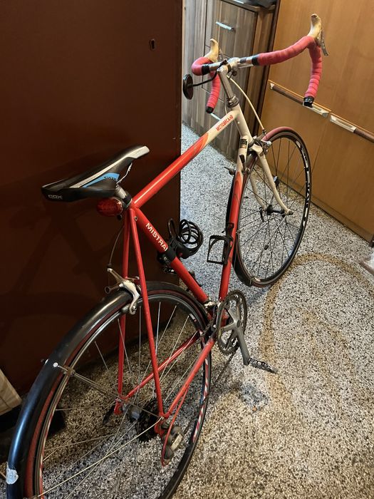 Френски бегач в добро състояние