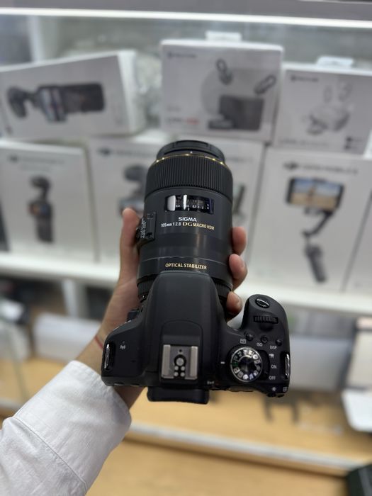 Sigma 105 mm f2.8 macro Canon 800D
