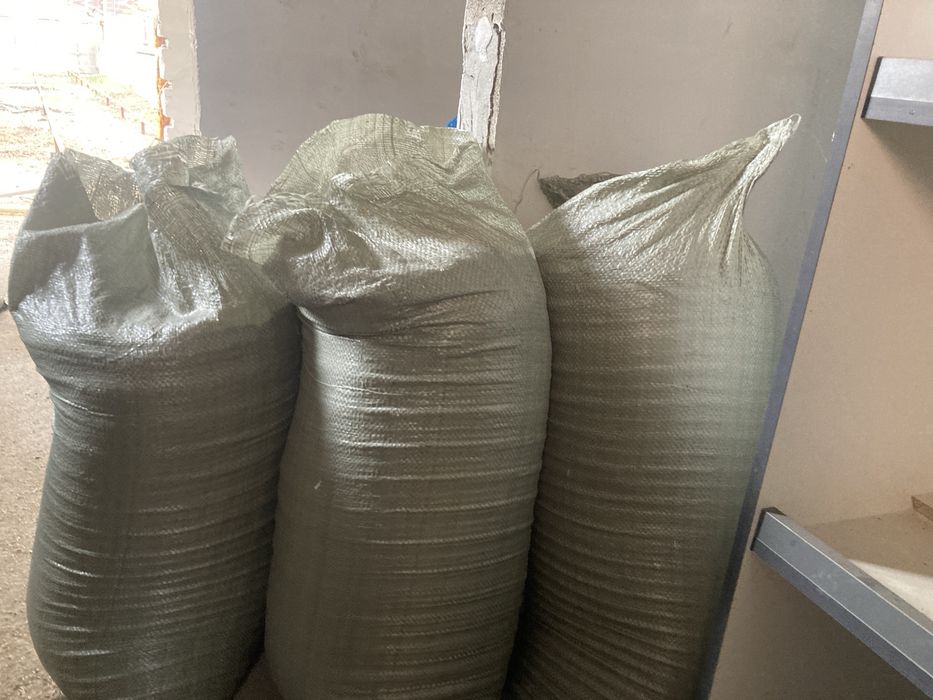 Семена.если возьмете сделаю скидку