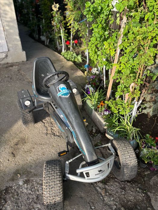 Vind cart DINO CARS coii/adulti