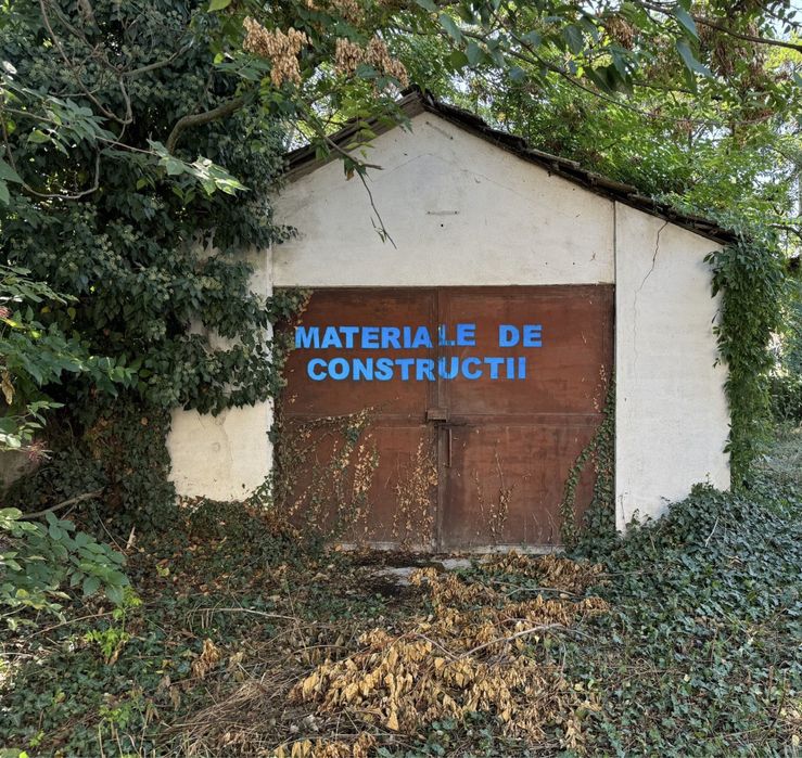 Casa 432 mp de vanzare in Banloc + garaj 50 mp, teren 927 mp