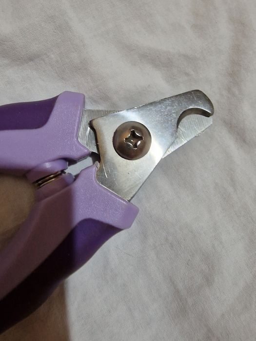 Когтерезка для ухода за кошками.