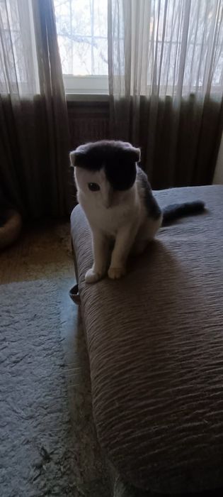 Меня зовут Бублик!