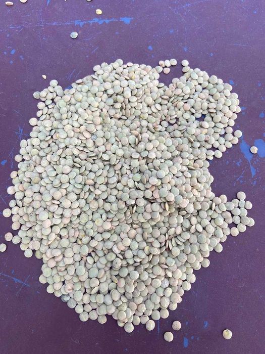 Дава се под наем Склад в Варна, Възраждане 1 - 22 кв.м за 1224 € - Снимка #1