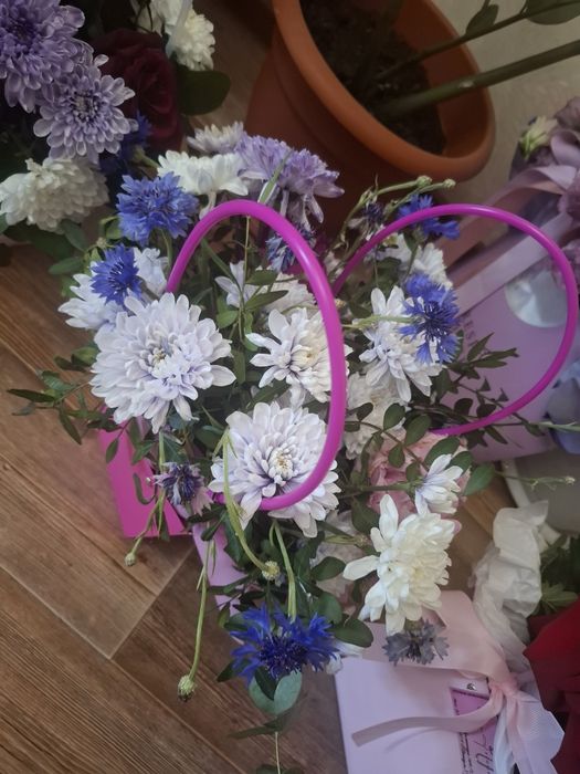 Живые цветы продам