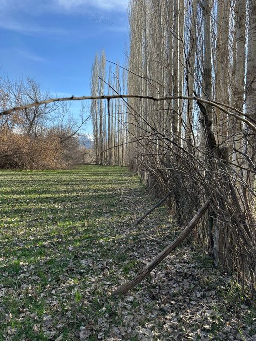 Продается участок в поселке Каскасу