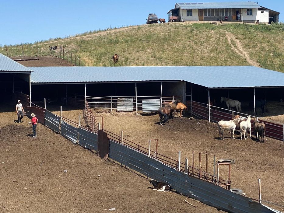 Продаёться фазенда