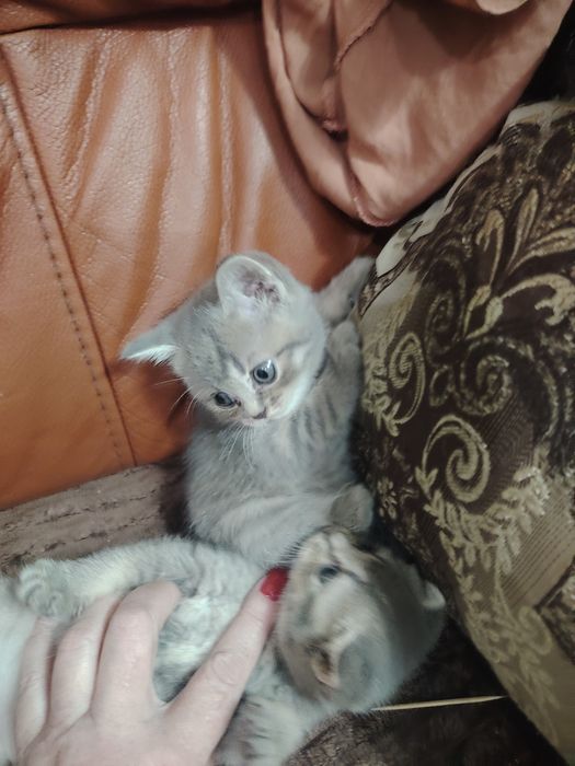 Очень милые малыши