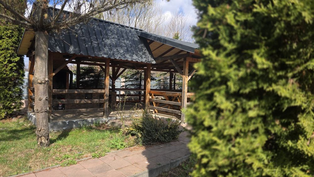 Cabana Tisieu - Ibanesti