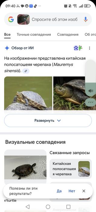 Продам водных черепах