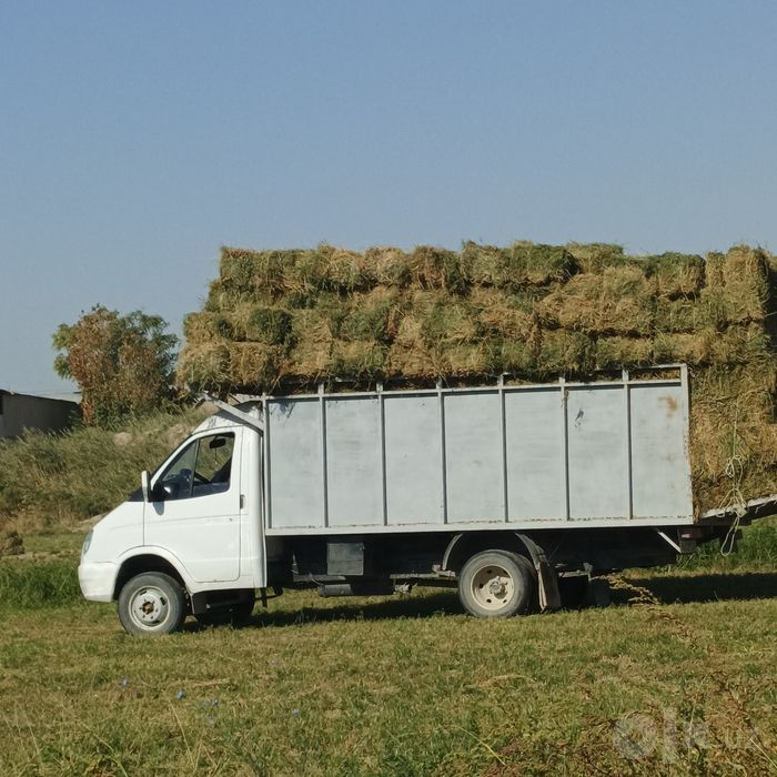 Газел 406 змз мото