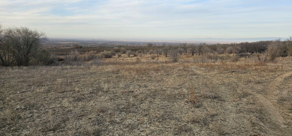 Земельный участок