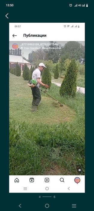 Шоп ору газон егу.