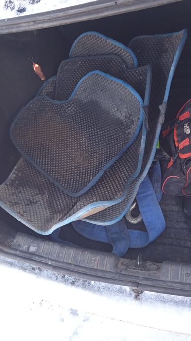 Ева полик на авео